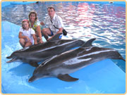 Отдыхающие из Йошкар-Олы в дельфинарии